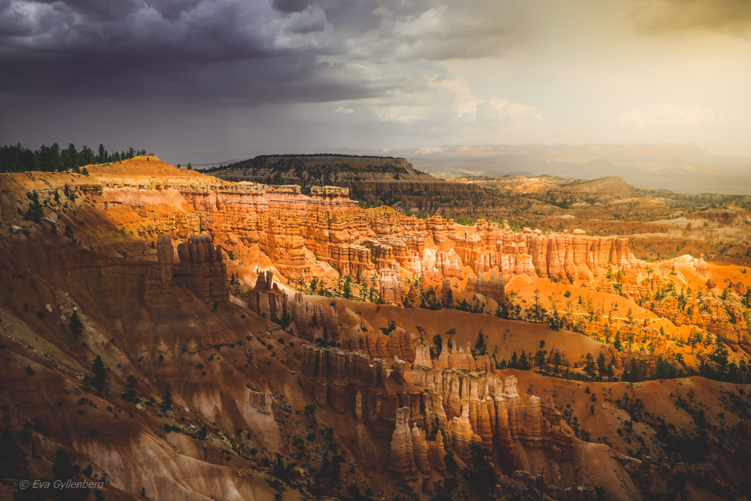 Bryce Canyon -Utah 