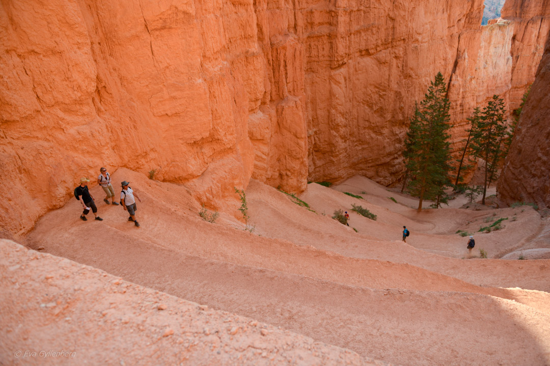 Bryce Canyon -Utah 