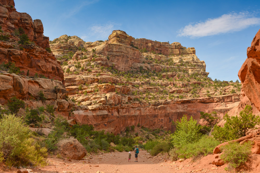 Capitol Reef National Park Utah (2)