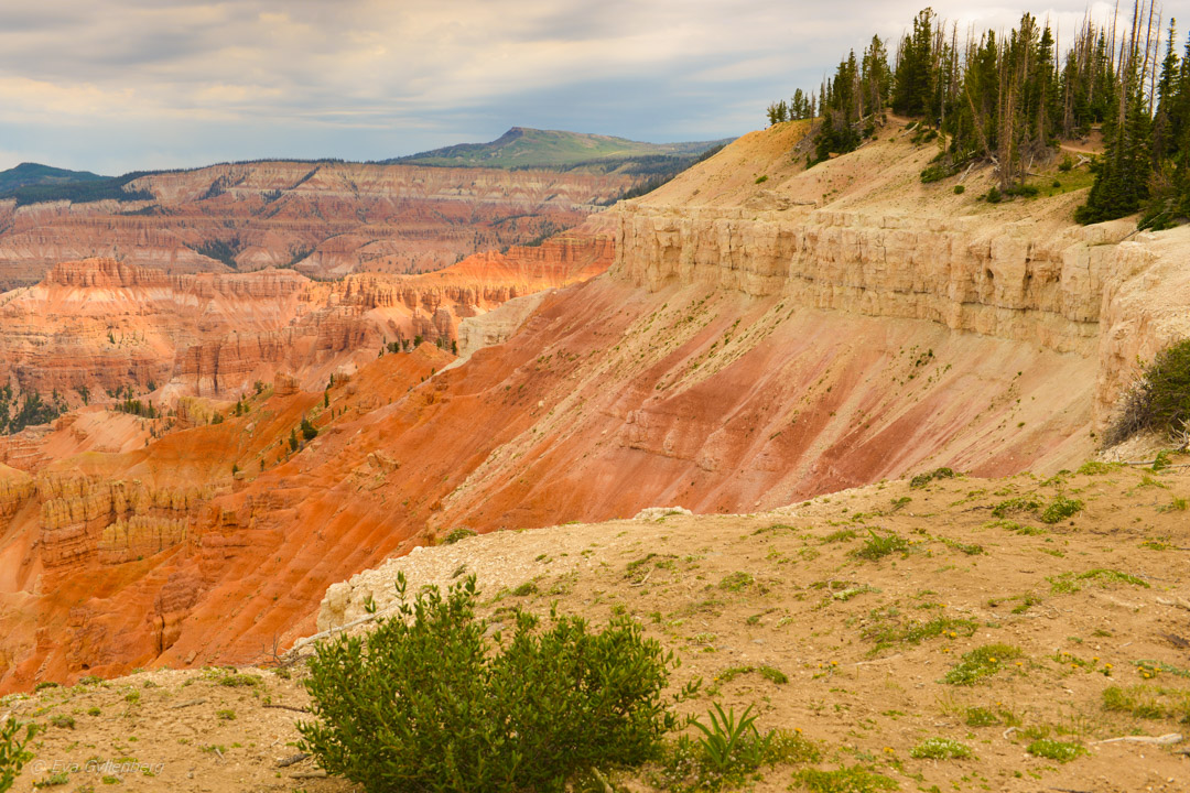 Cedar Breaks National Monument