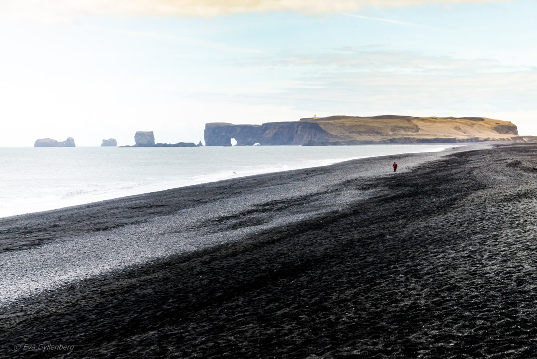 Island - Reynisfjara