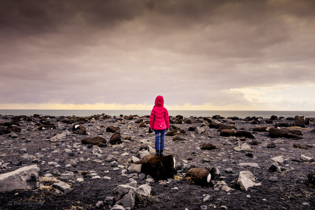 Iceland - Reynisfjara