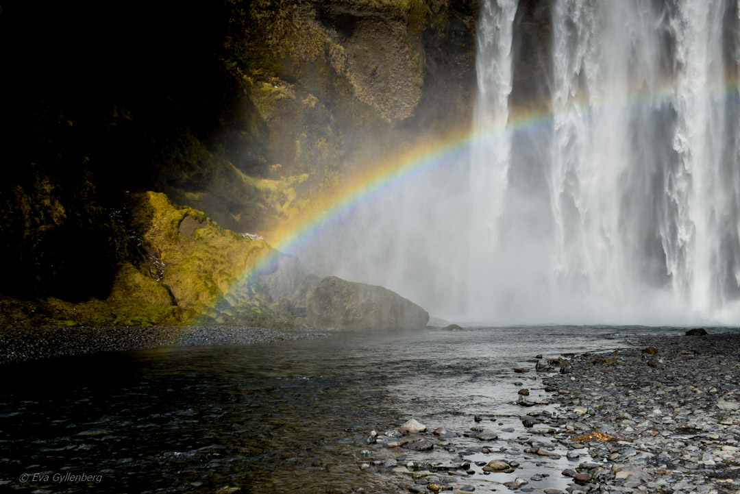 Island - Skogafoss