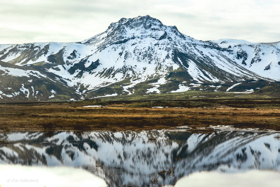 Iceland - Reflections