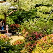 Japan reseguide