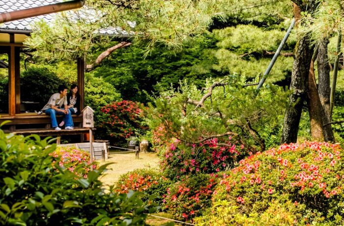 Japan travel guide