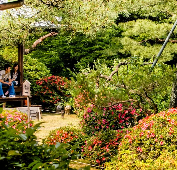 Japan reseguide