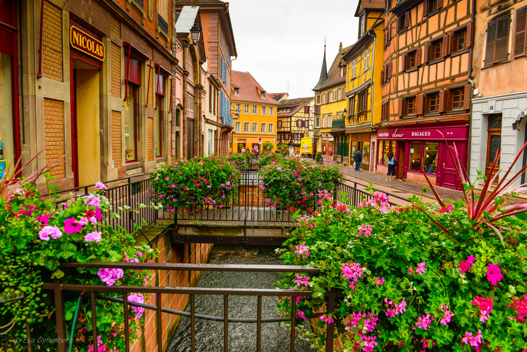 En av flera kanaler i Colmar