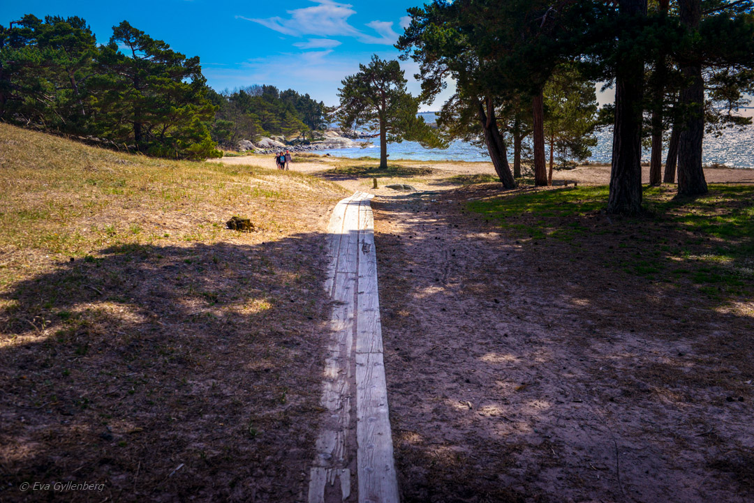 Sandhamn - Trouville