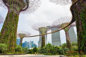 Singapore-Gardens-by-the-bay