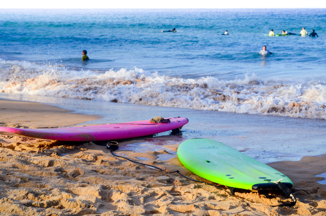Sydney Beaches