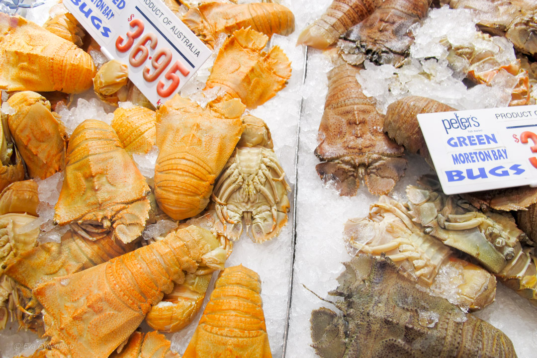 Sydney Fish Market