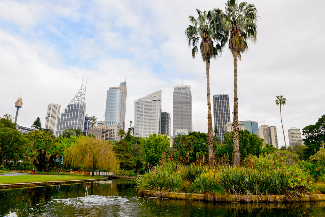 Sydney Royal Botanic Garden