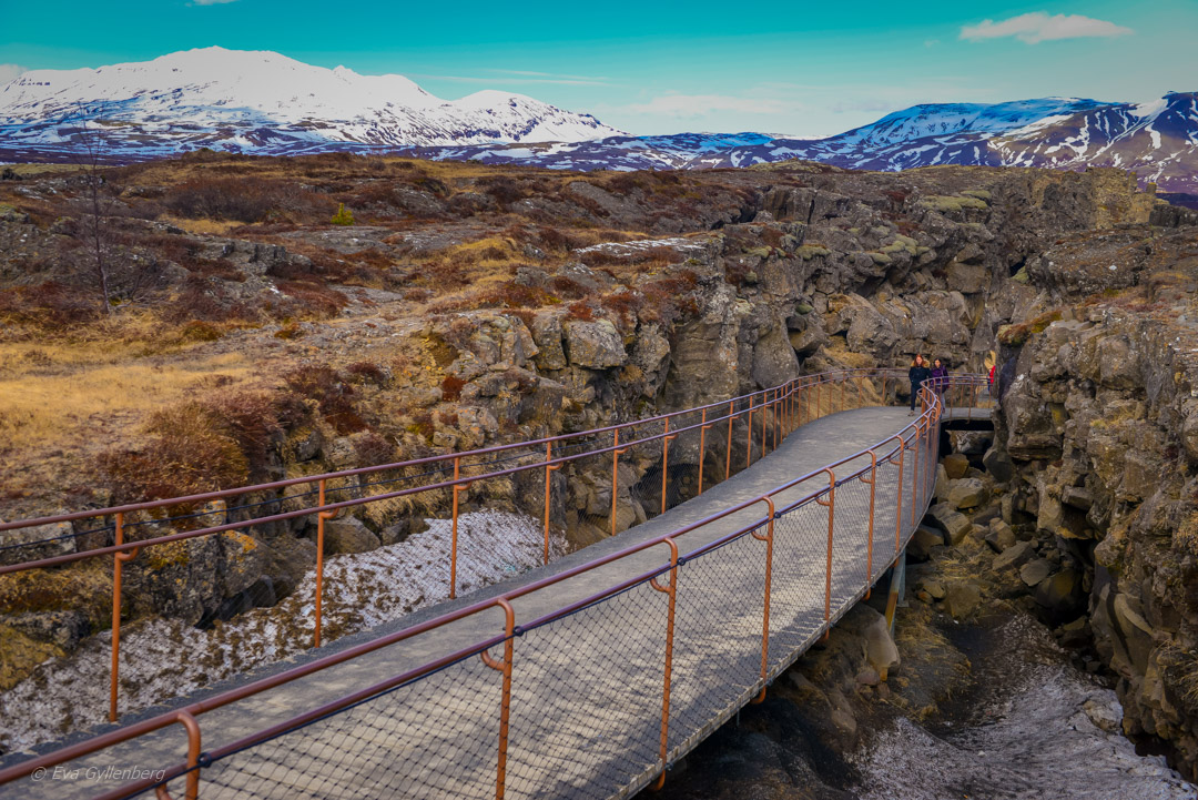 Thingvellir nationalpark - Island