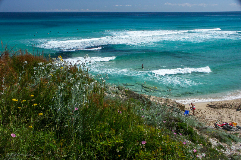 Majorca