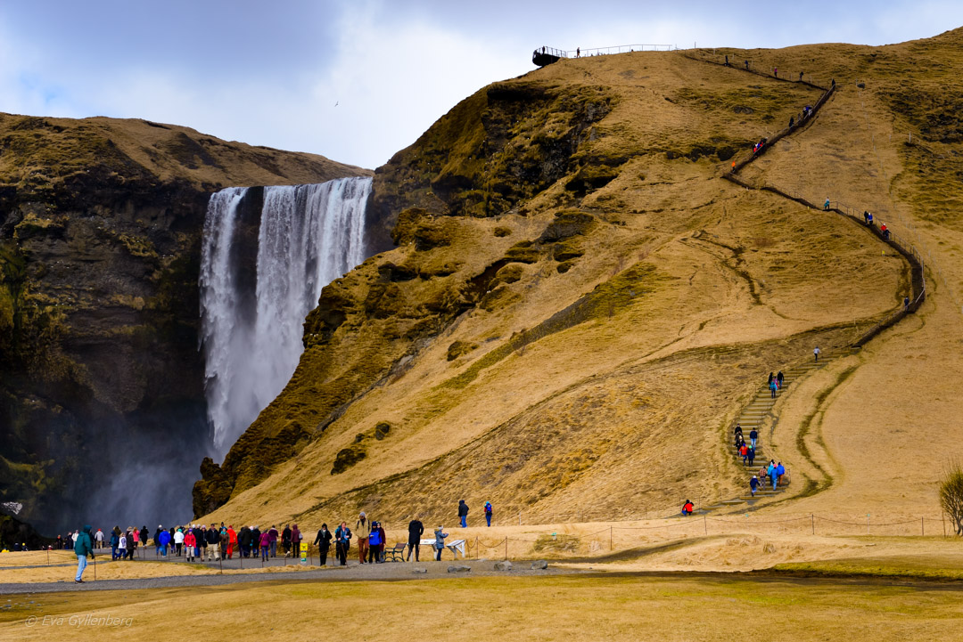 Iceland - Skogafoss - Day trip from Reykjavik to Vik