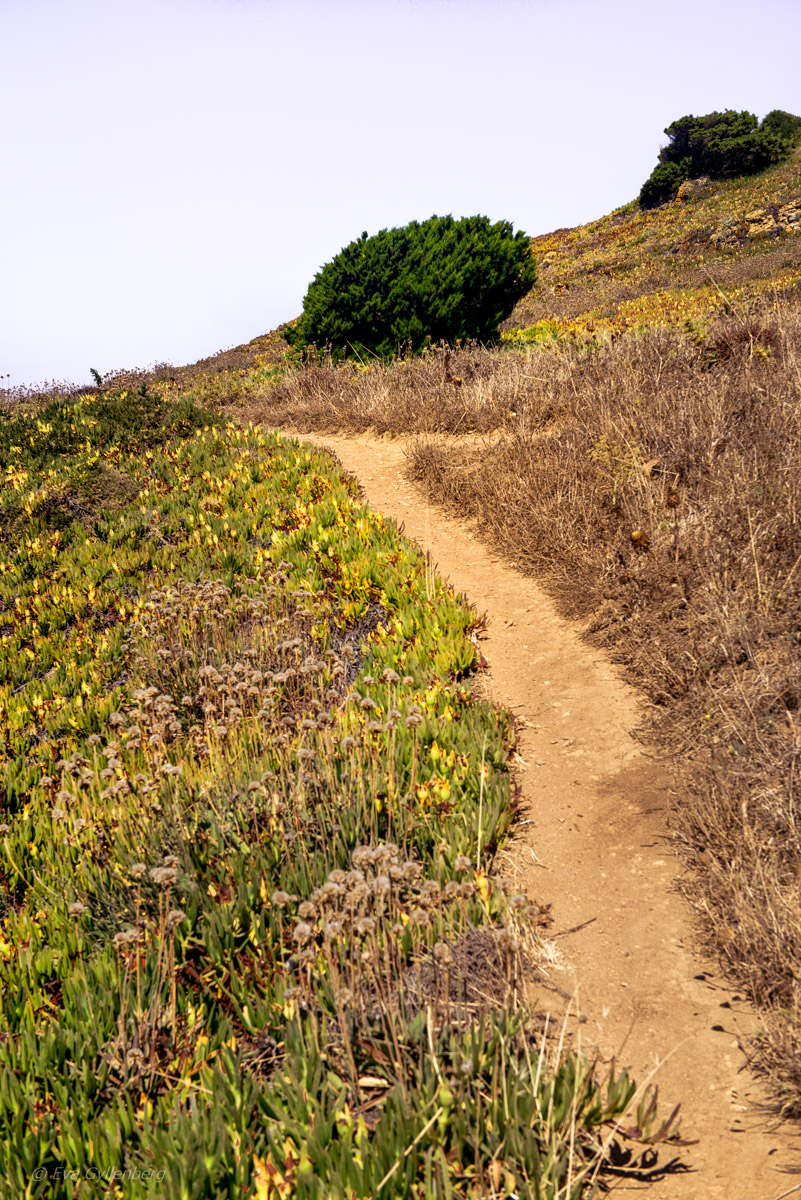 Cabo da Roca