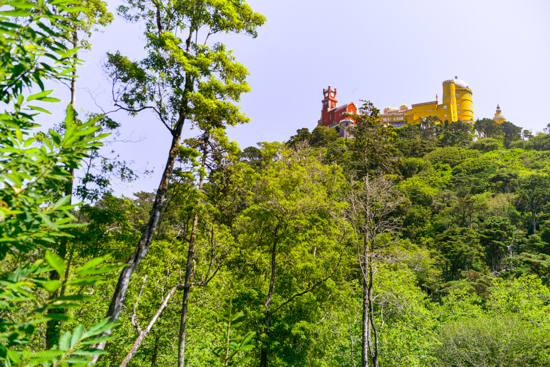 Pena Palace - Sintra - Portugal