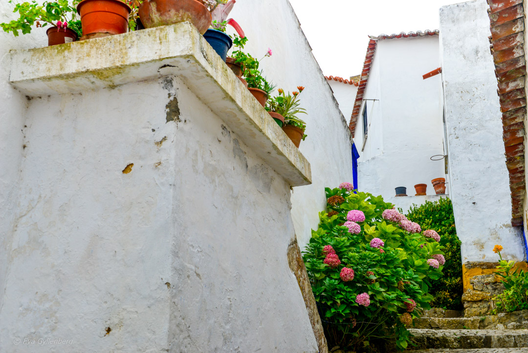 Obidos i Portugal