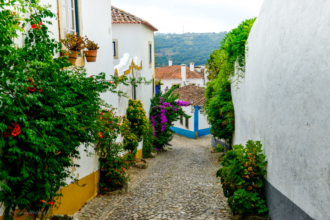 Obidos i Portugal
