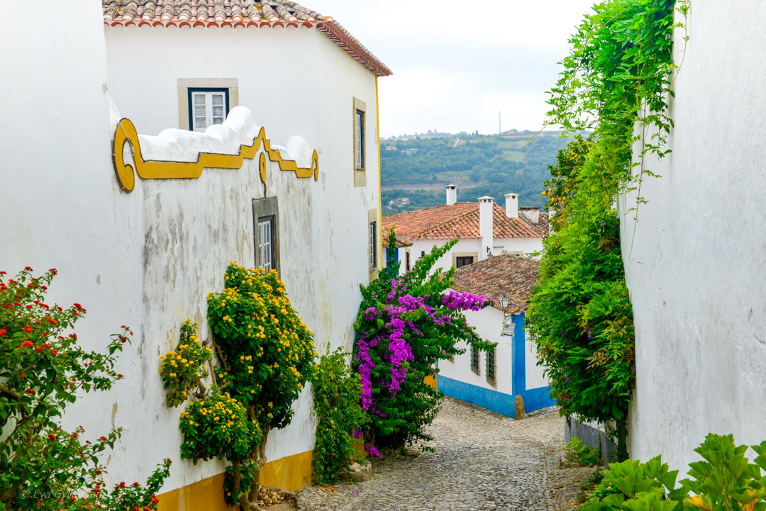 Obidos i Portugal