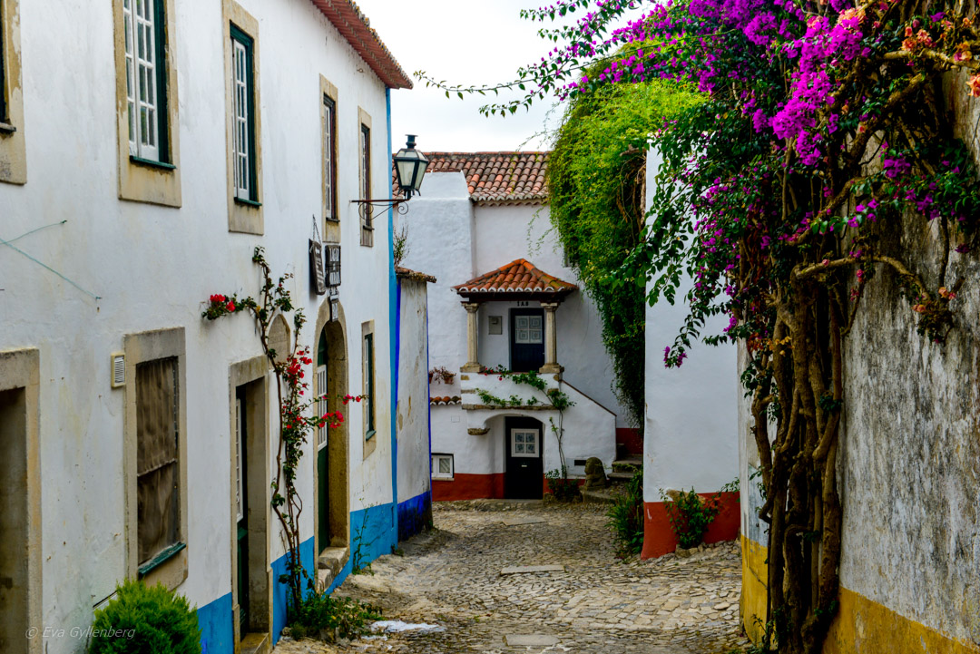 Obidos i Portugal