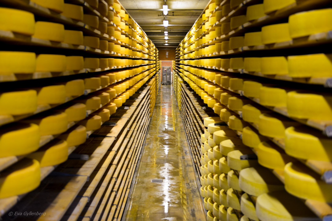 Schweiz - Gruyere ost