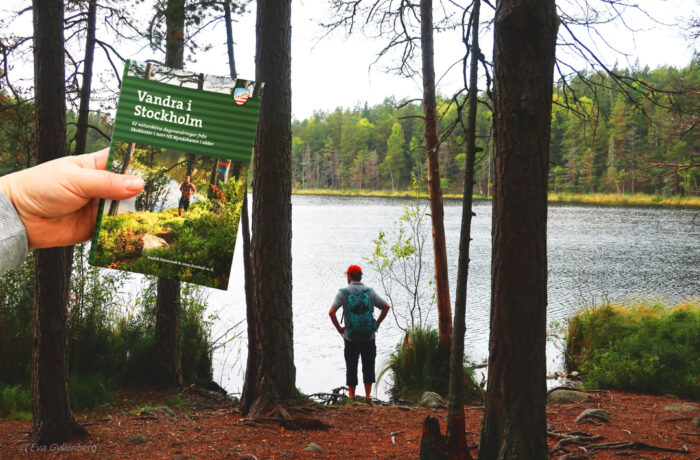 Tyresta National Park