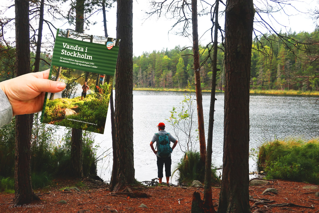 Tyresta nationalpark