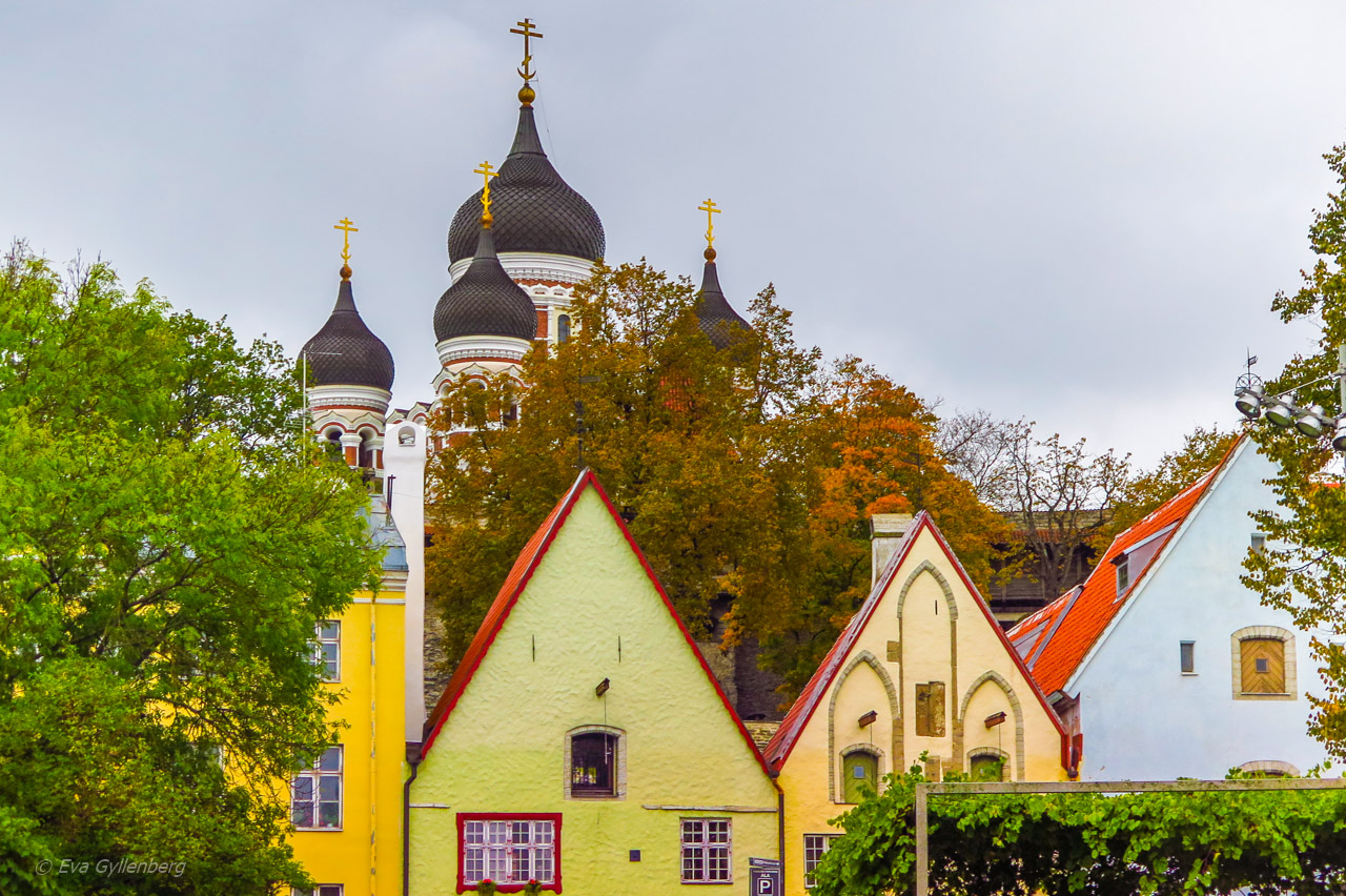 Alexander Nevski - Tallinn