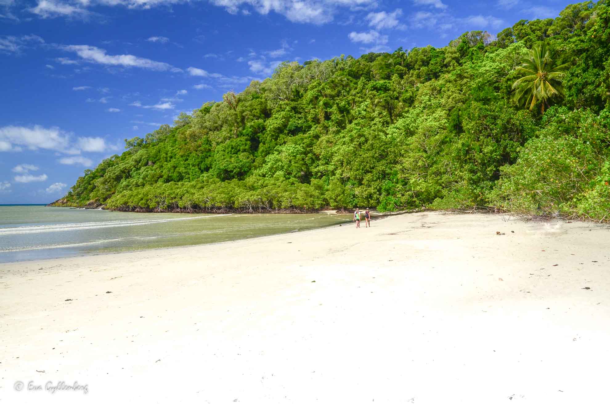 Cape Tribulation