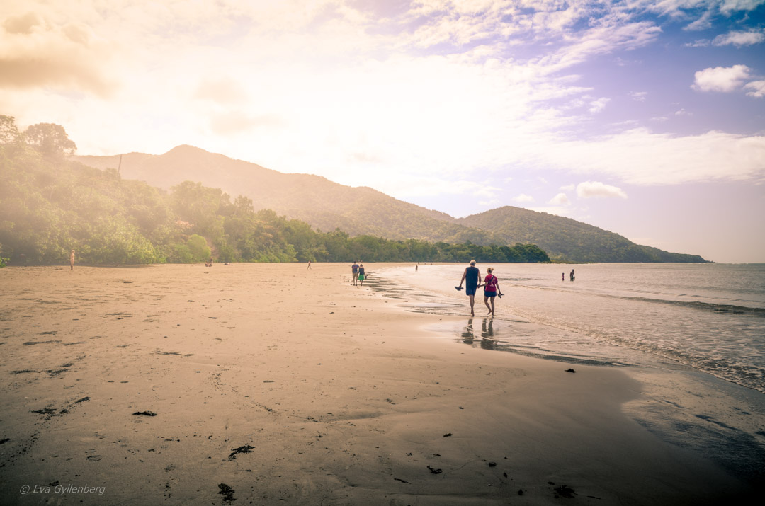 Cape Tribulation - Daintree-Queensland-Australien