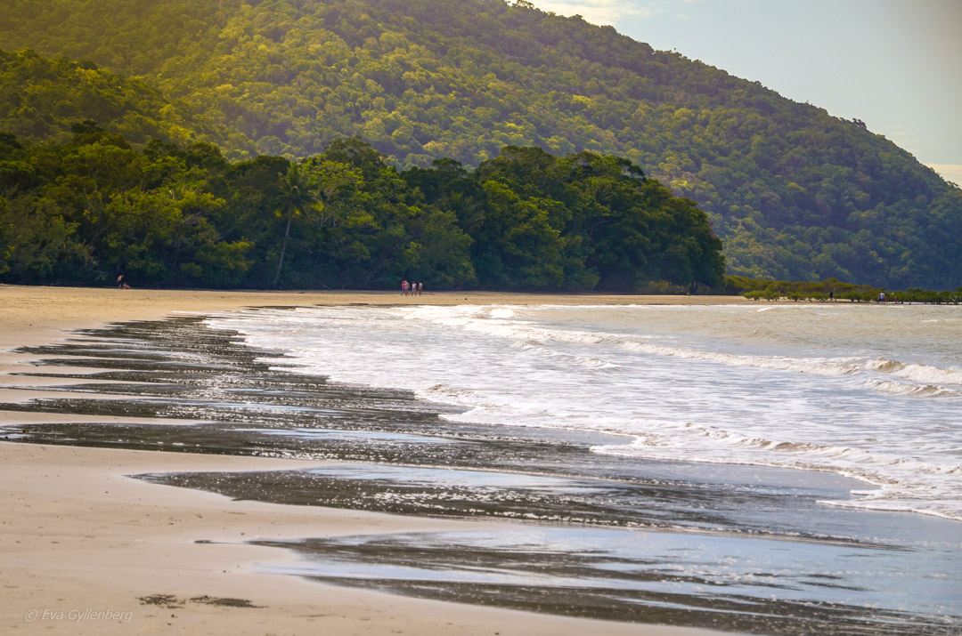 Cape Tribulation - Daintree - Queensland - Australien 