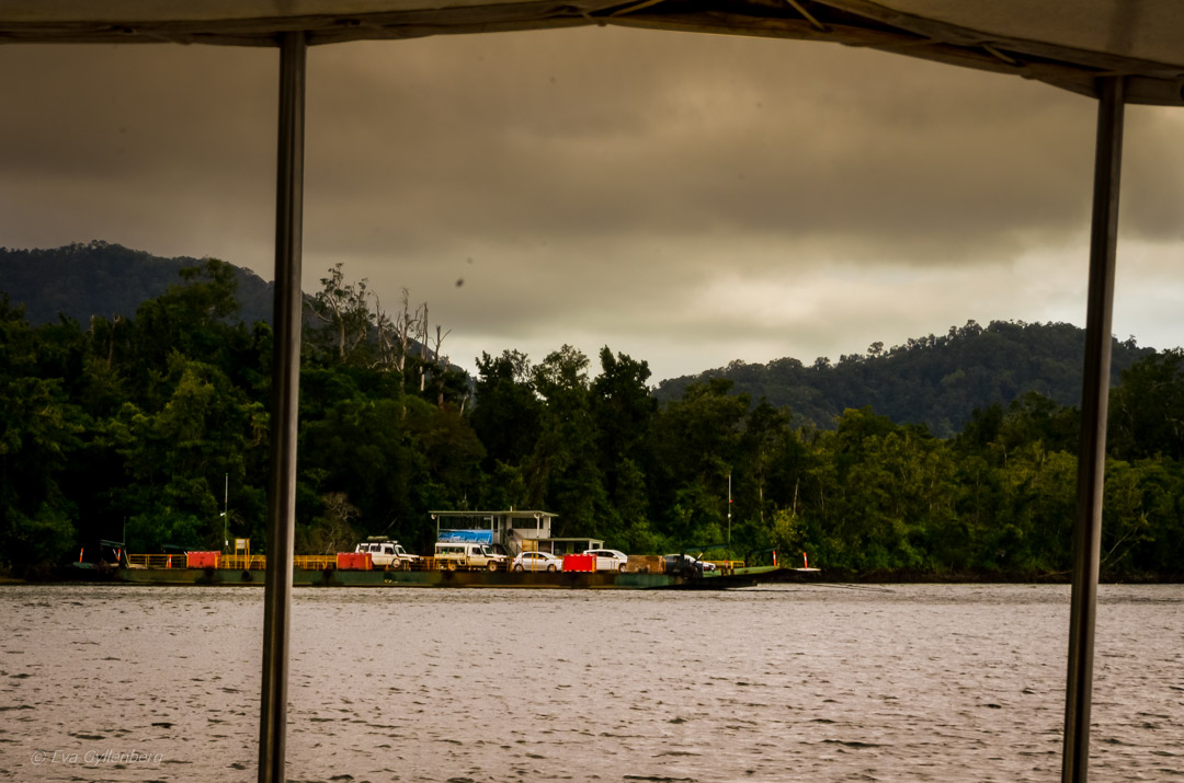 Daintree-Queensland-Australien