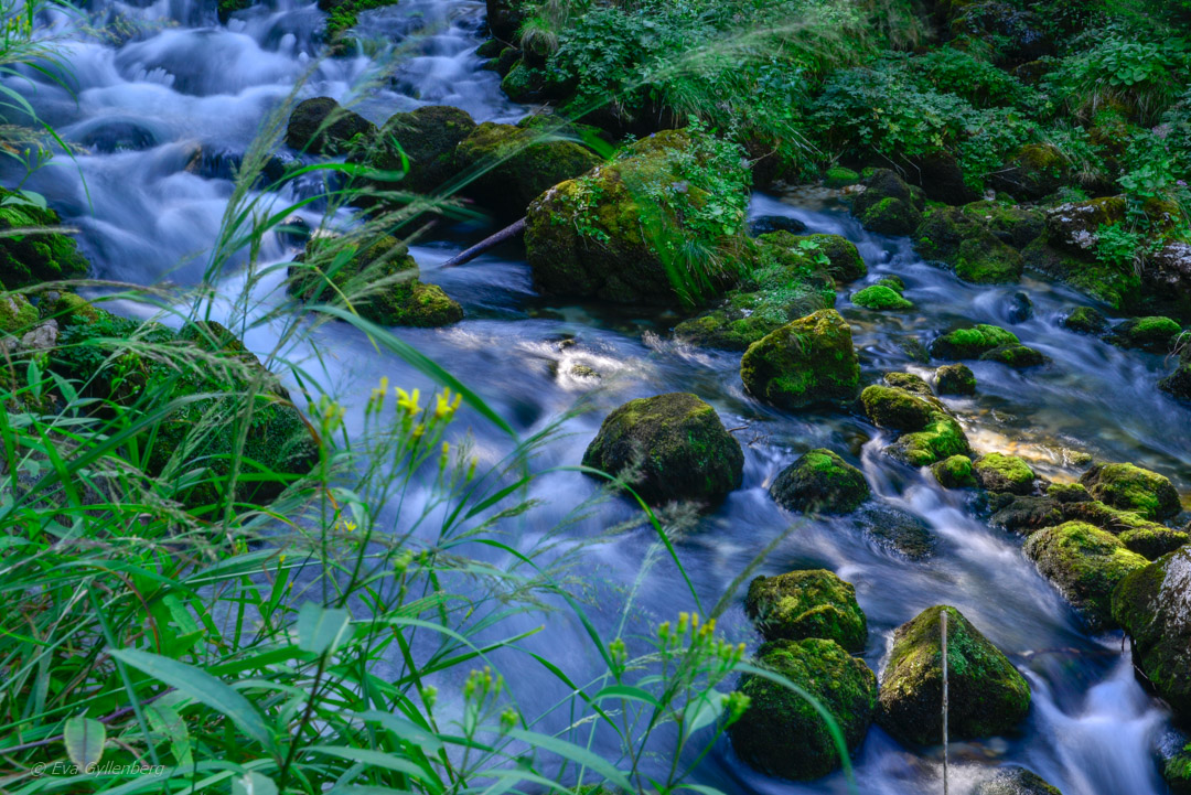 Gollinger Wasserfall - Österrike
