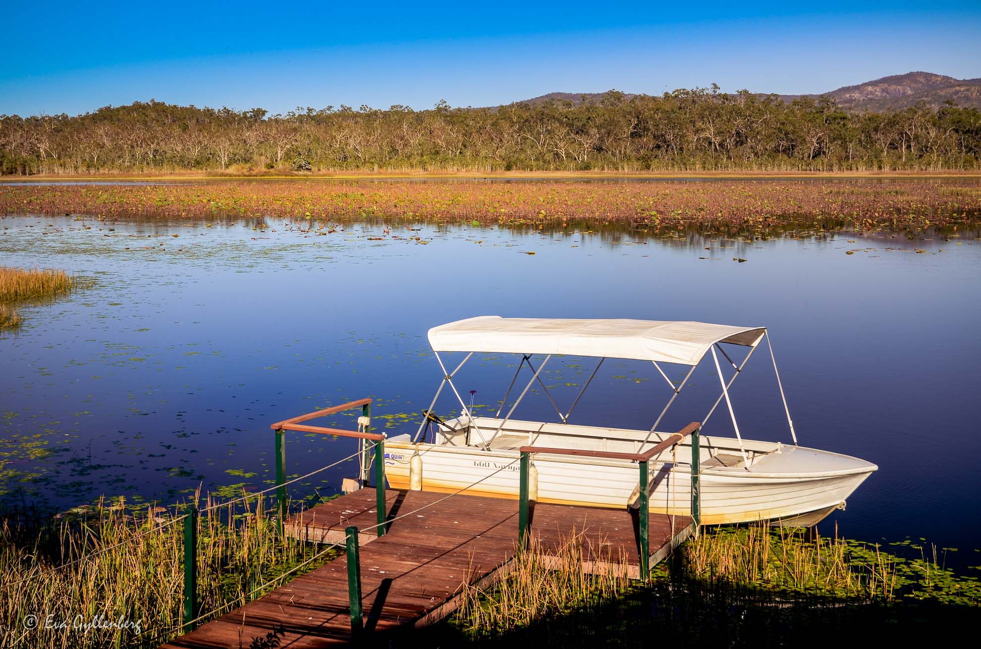 Mareeba