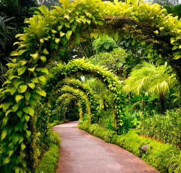 Singapore Botanic Garden
