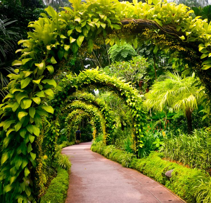 Singapore Botanic Garden