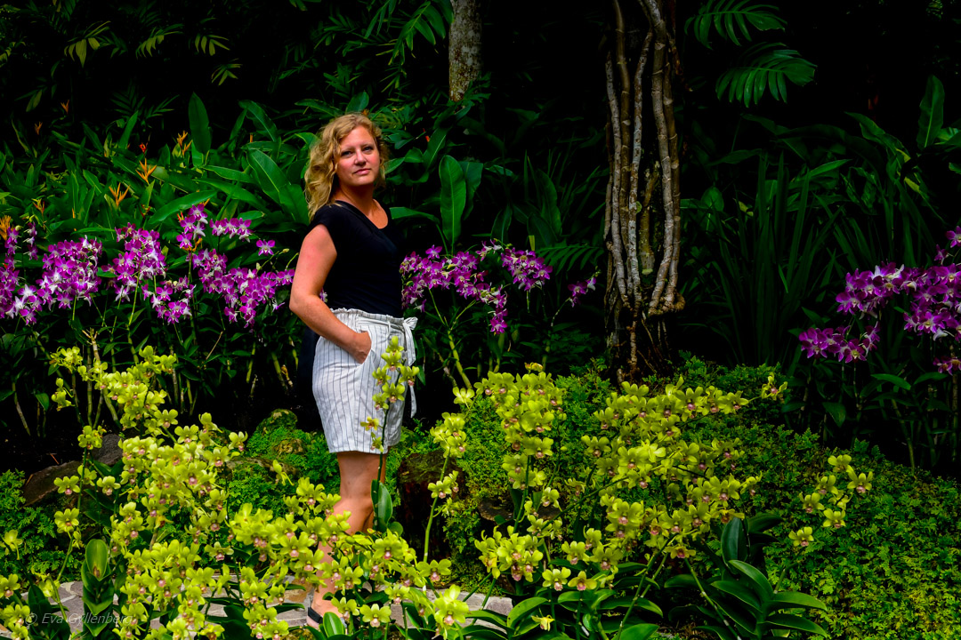 Singapore Botanic Garden