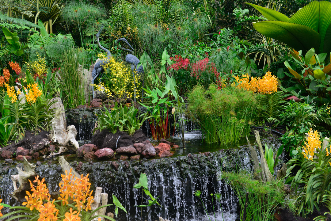 Singapore Botanic Garden