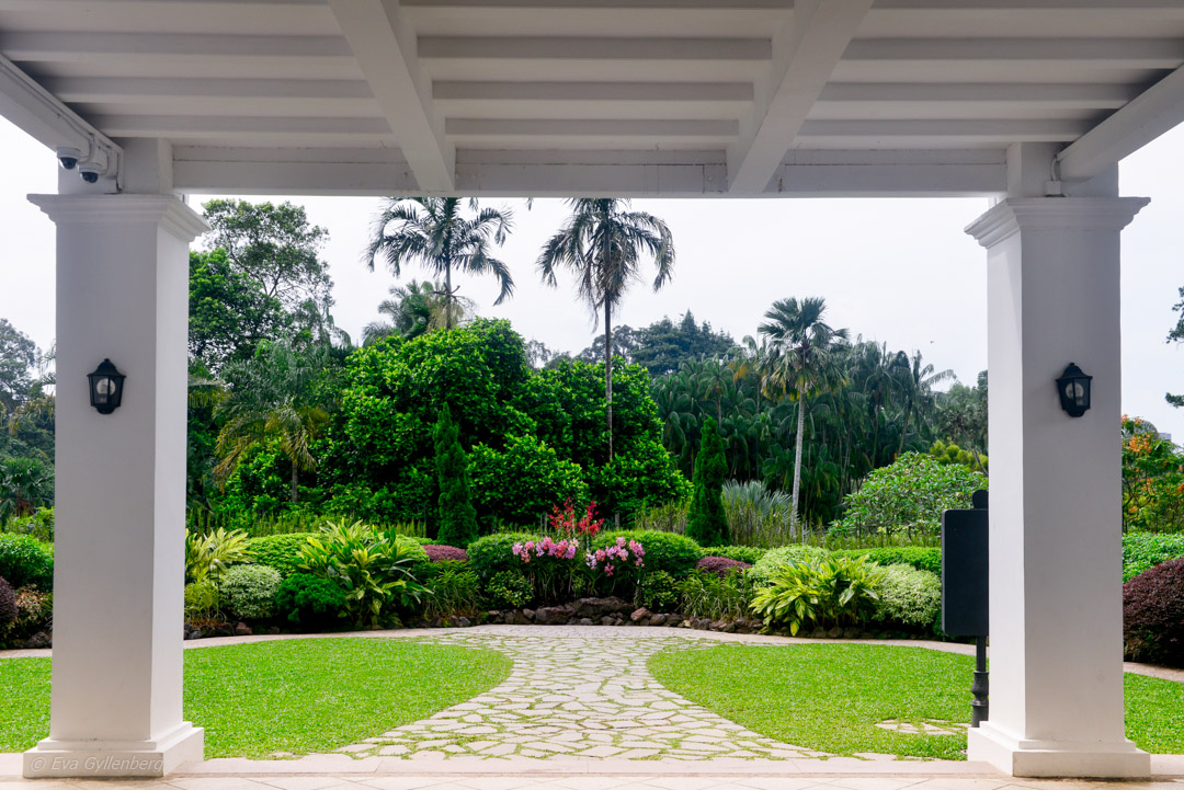 Singapore Botanic Garden