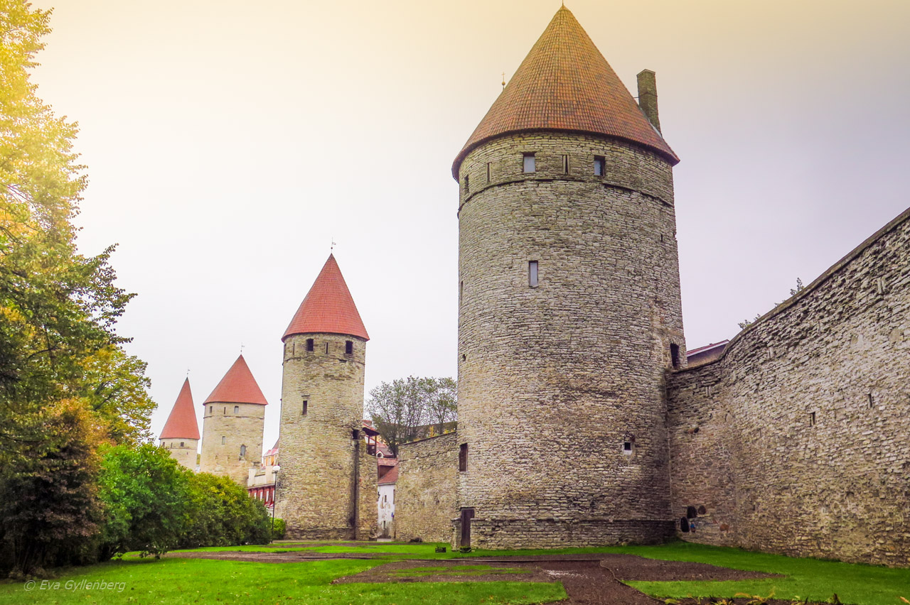 Tallinn - muren