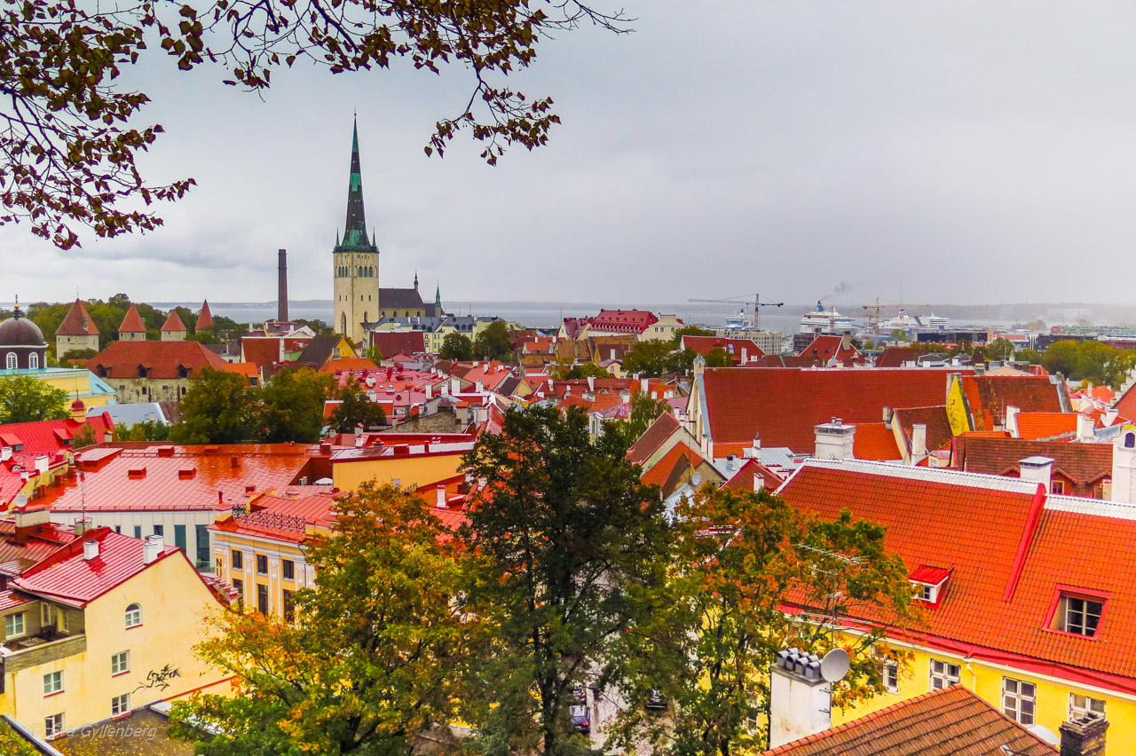 Tallinn utsiktsplats