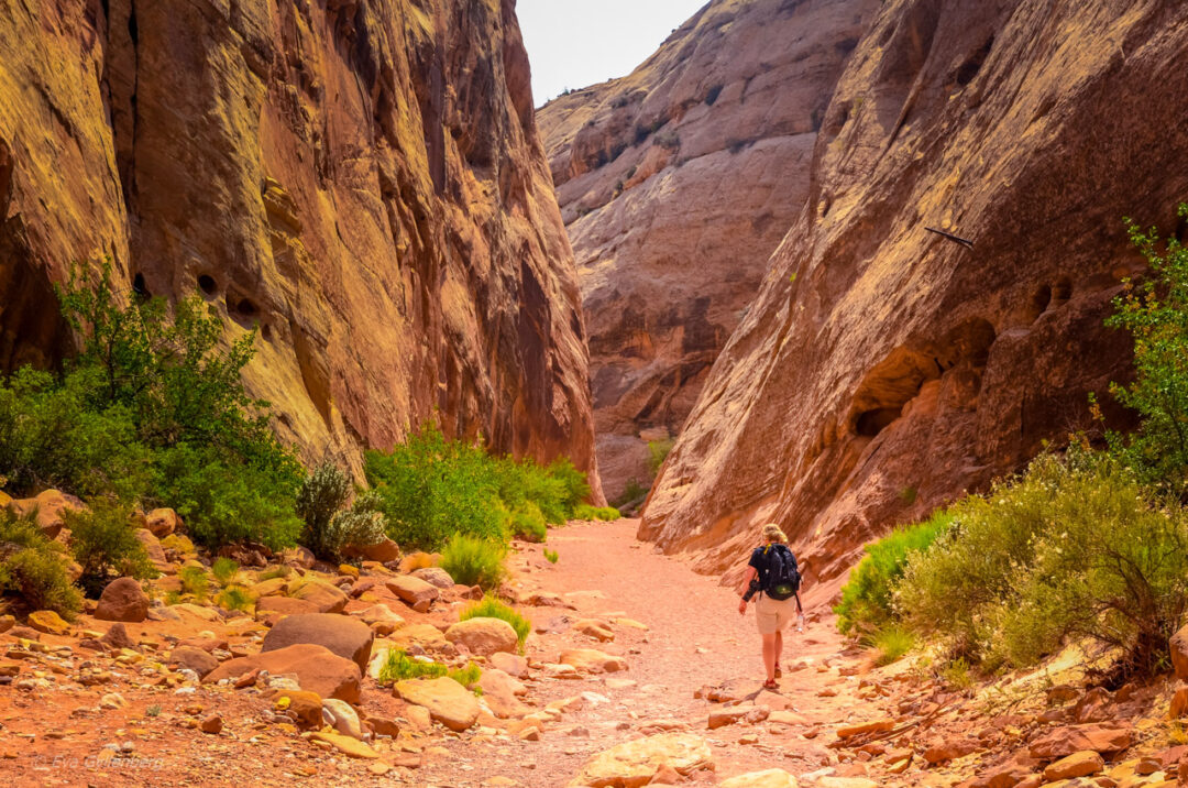 Capitol Reef - Utah