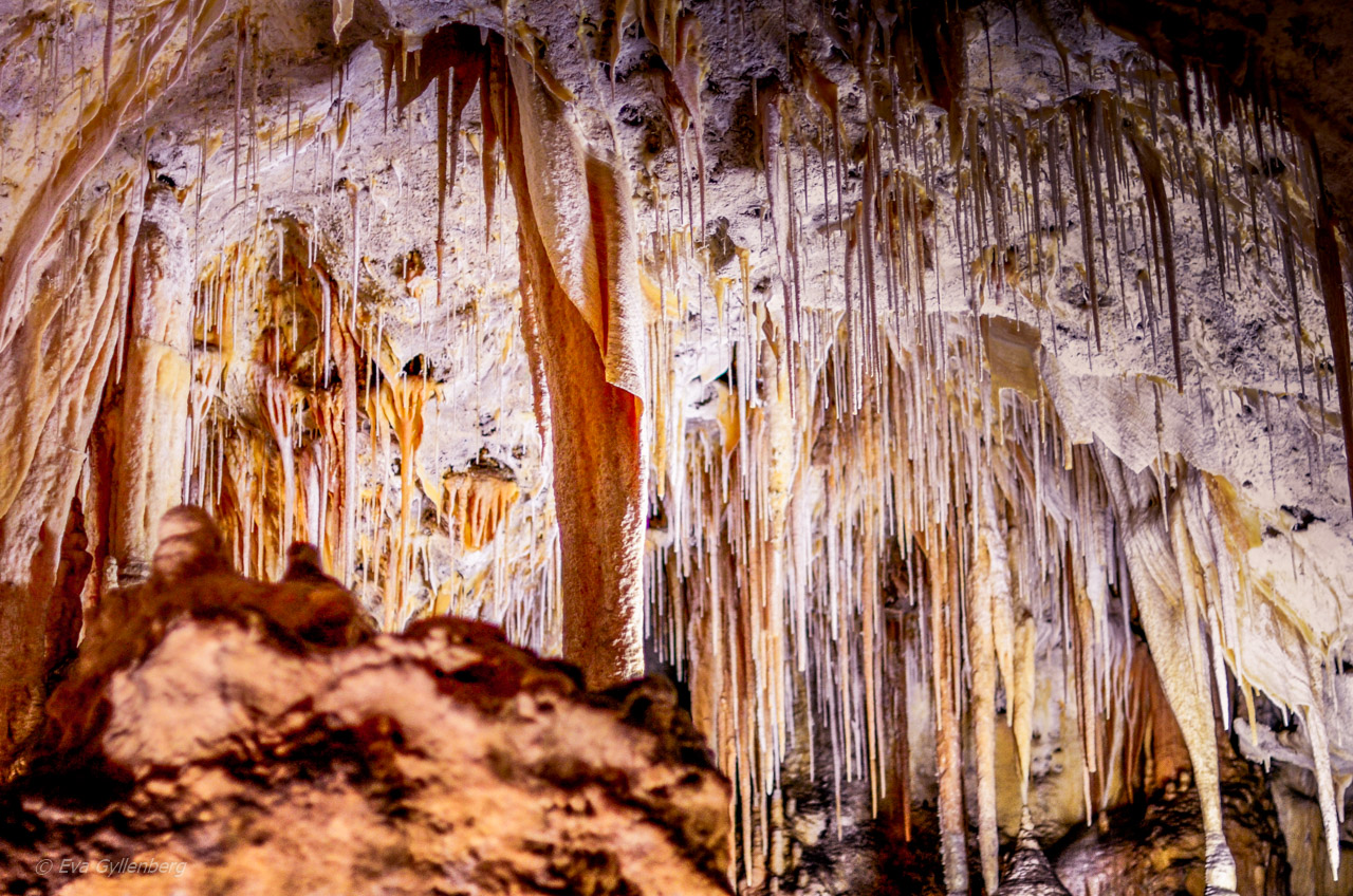 Carlsbad Caverns