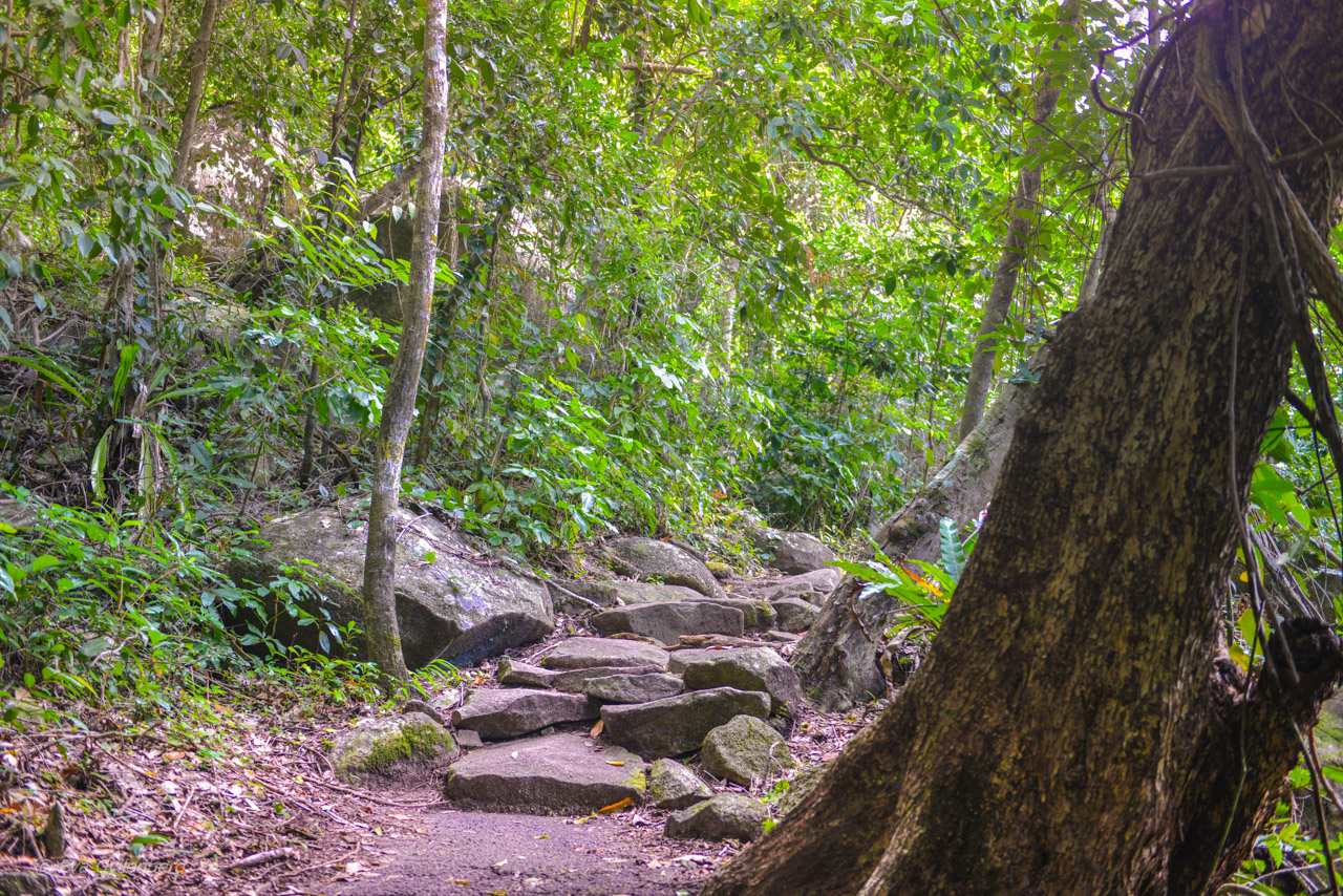 Fitzroy Island