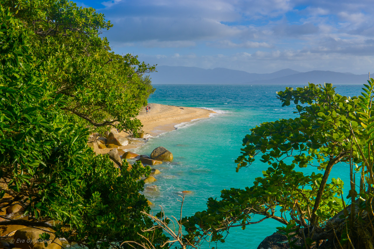 Fitzroy Island -Nudey Beach