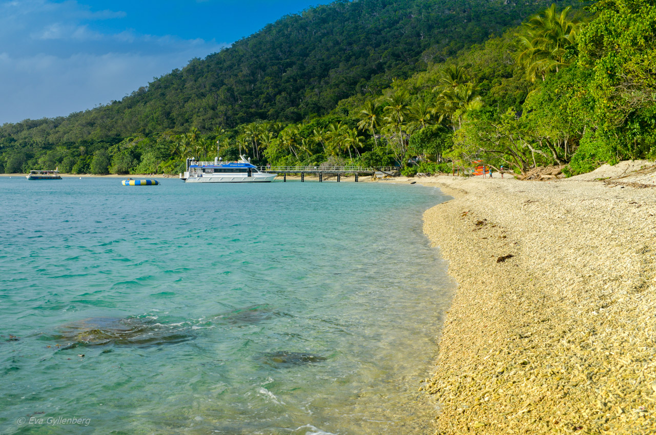 Fitzroy Island