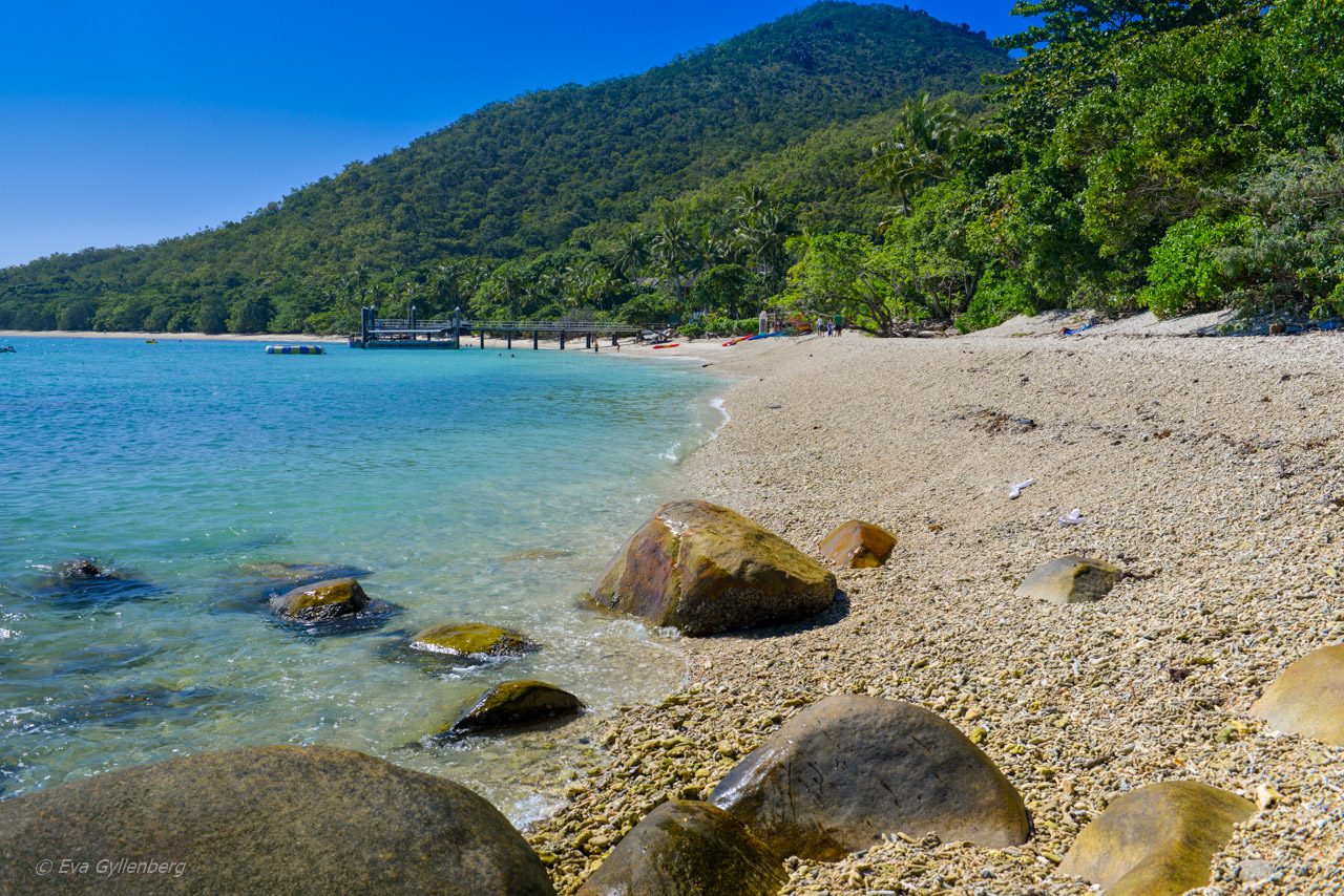 Fitzroy Island