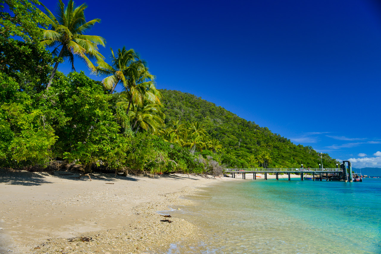 Fitzroy Island